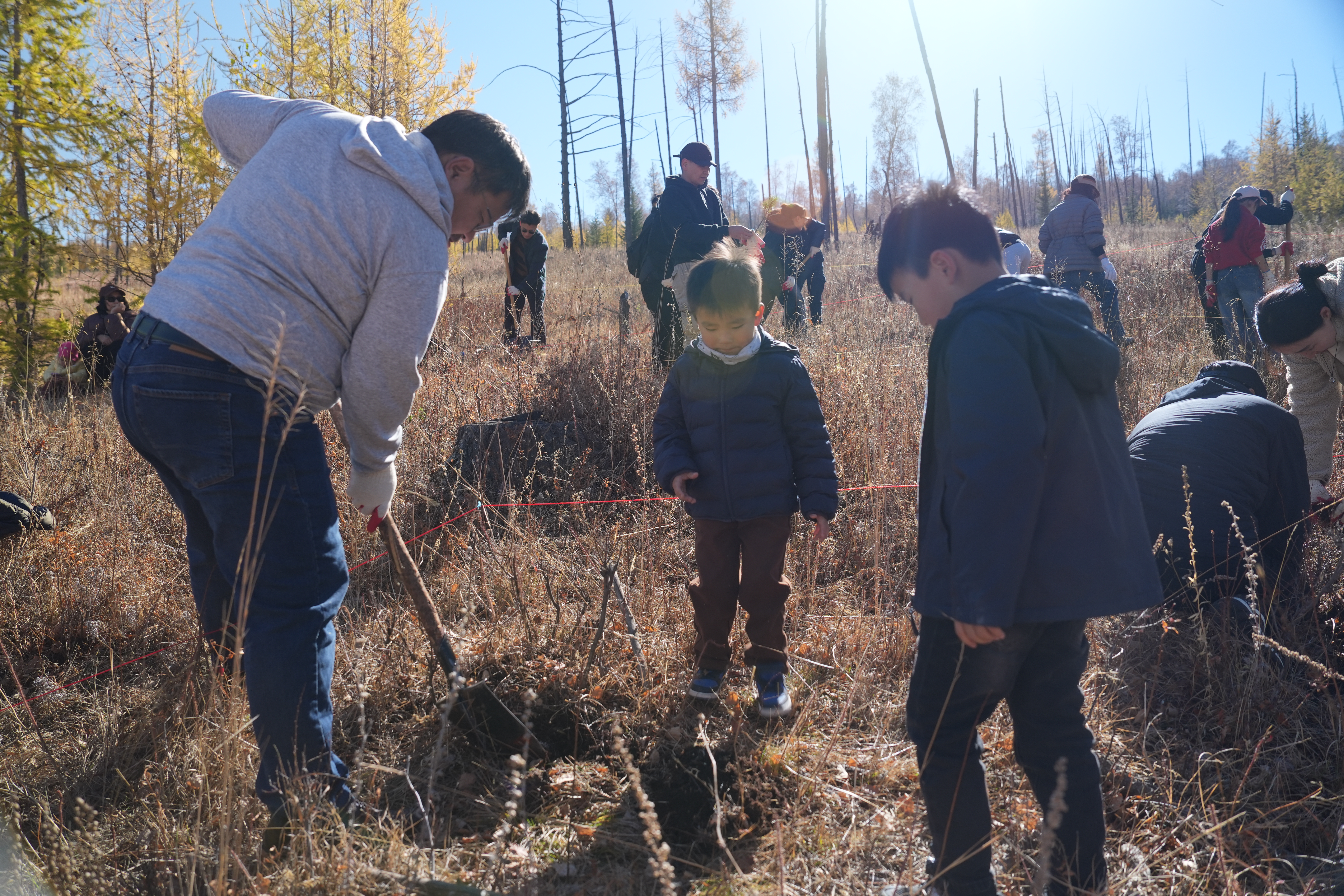 Participants planting young trees